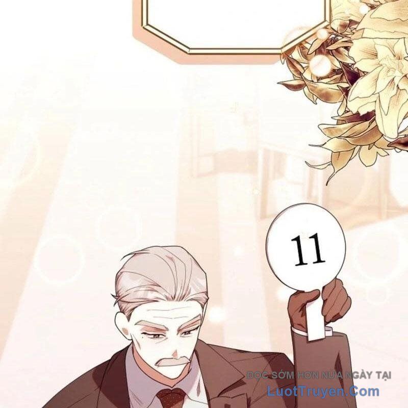 Thợ Săn Của Lớp Gà Con Chap 55 - Next Chap 56