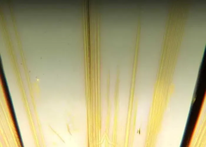 Đường Chuyền Đặc Biệt Của Tiền Vệ Thiên Tài Chap 27 - Next Chap 28