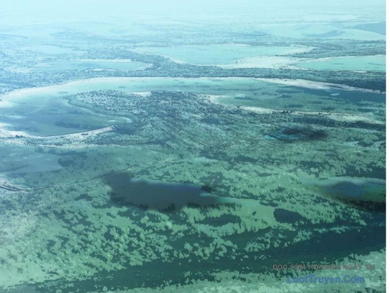 Hoàng Đế Nhà Ta Lại Là Nội Ứng Chap 22 - Next Chap 23