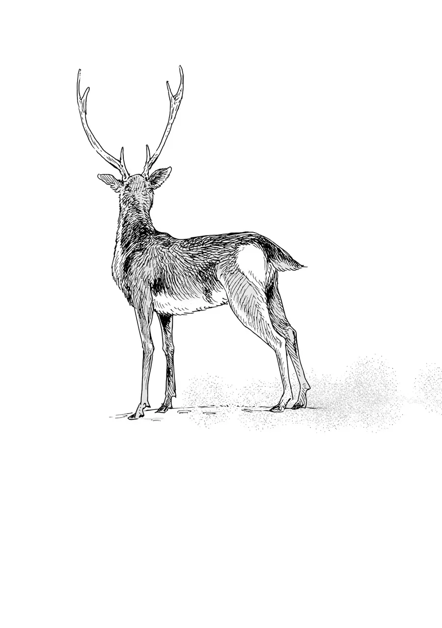 Hỡi Các Chị Em, Nhắm Thẳng Quân Thù Mà Bắn. Chap 10 - Next Chap 11