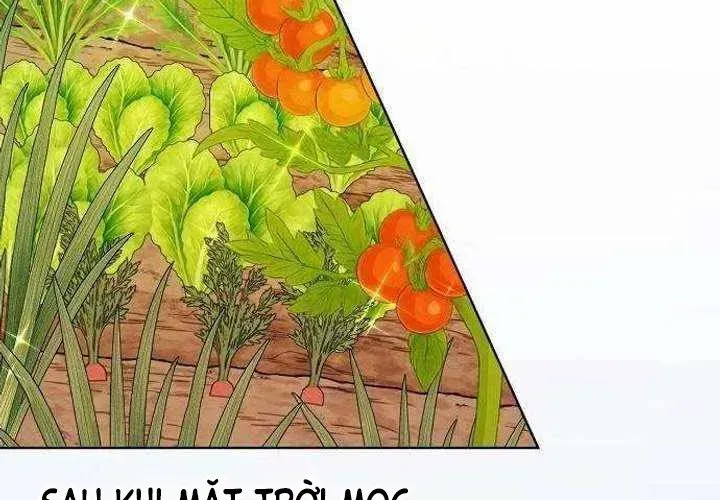 Không Gian Đặc Biệt Của Luật Sư Bình Dị Chap 22 - Next Chap 23