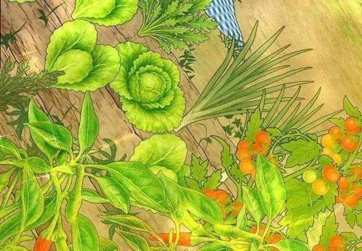 Không Gian Đặc Biệt Của Luật Sư Bình Dị Chap 22 - Next Chap 23