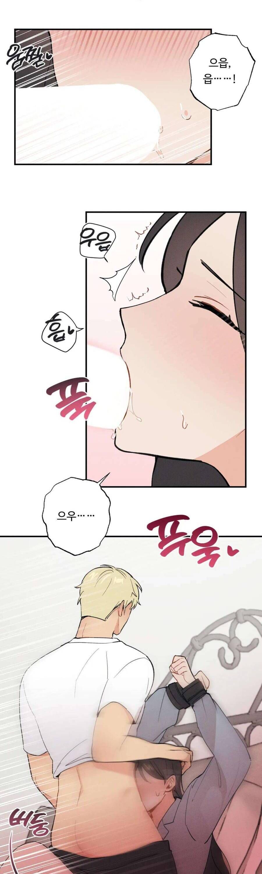 Cứu Rỗi, Và Sự Tàn Khốc Đằng Sau Nó Chap 8 - Next Chap 9