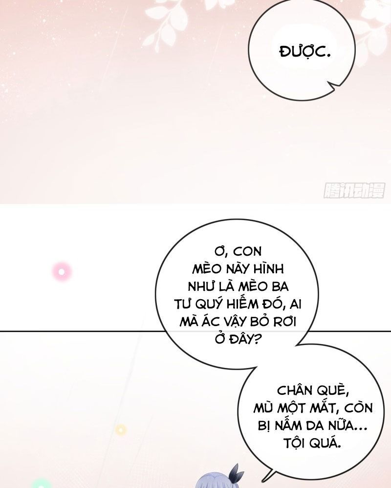 Làm Ảnh Hậu Không Bằng Học Thanh Hoa Chap 76 - Next Chap 77