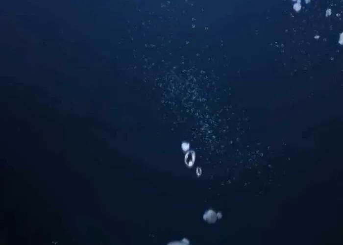 Câm Lặng Chap 10 - Next Chap 11