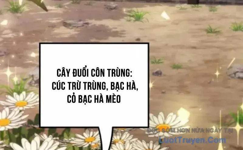 Thần Thịnh Vượng Chap 12 - Next Chap 13