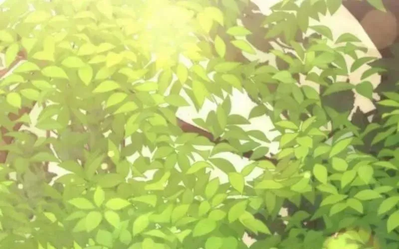 Thần Thịnh Vượng Chap 12 - Next Chap 13