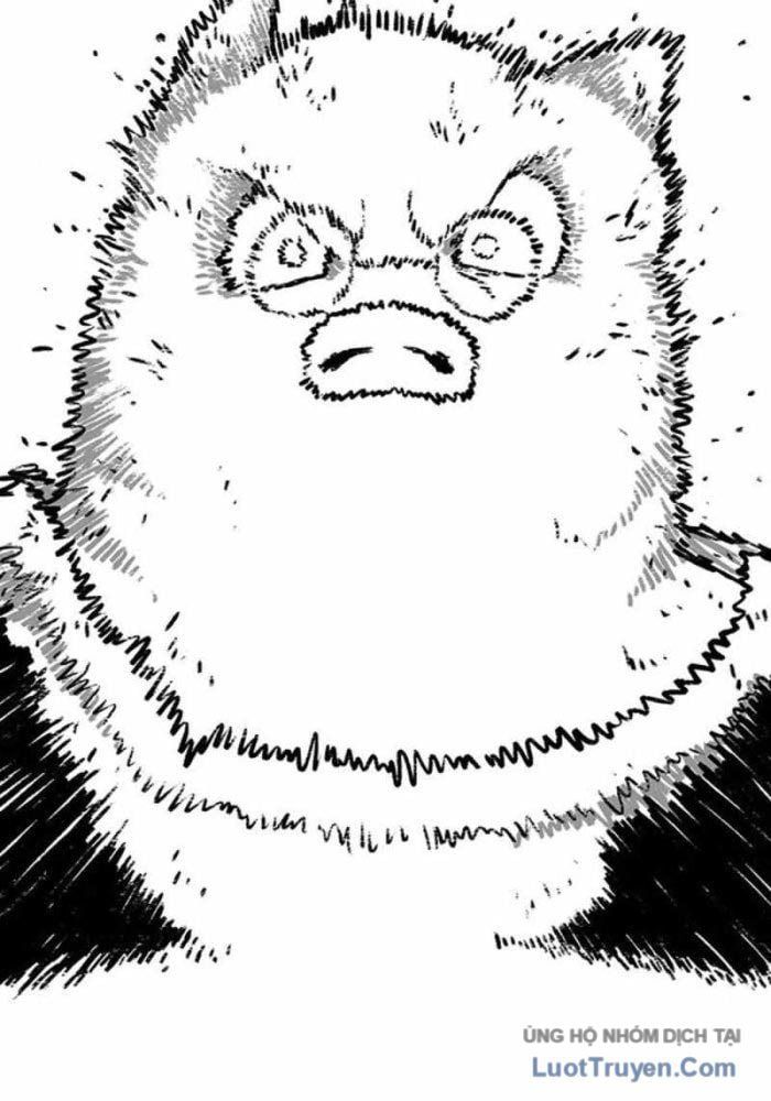 Vết Mờ Của Quá Khứ Chap 12 - Next Chap 13