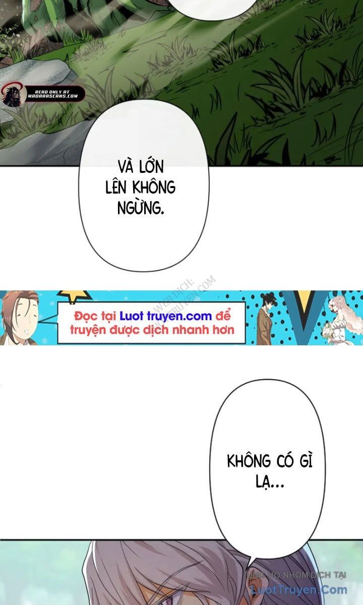 Đại Hiền Giả Sở Hữu Trăm Ma Thạch Chap 8 - Next Chap 9