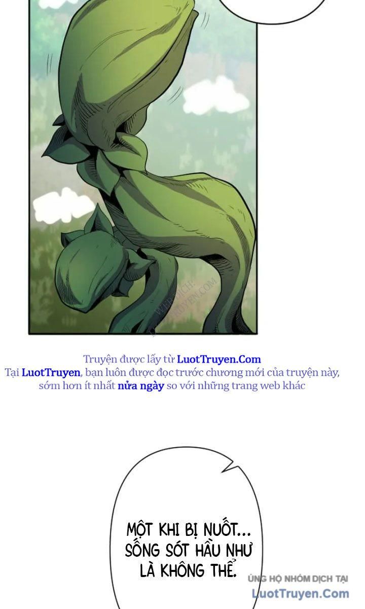 Đại Hiền Giả Sở Hữu Trăm Ma Thạch Chap 8 - Next Chap 9