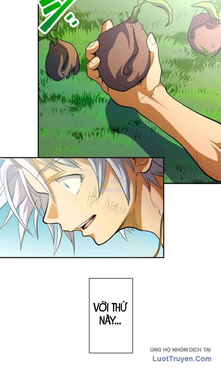 Đại Hiền Giả Sở Hữu Trăm Ma Thạch Chap 9 - Next Chap 10