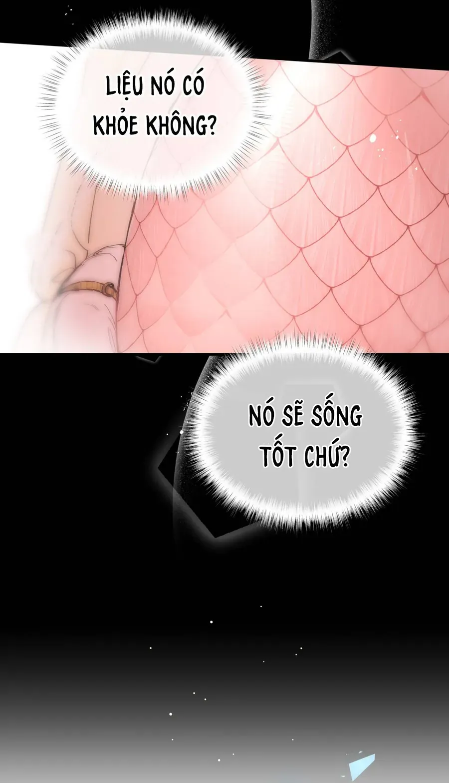 Cô Ấy Sẽ Thuần Phục Anh Hùng Chap 6 - Next Chap 7