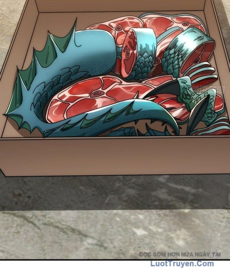 Tiến Hóa Vô Hạn Bắt Đầu Từ Con Số Không Chap 26 - Next Chap 27