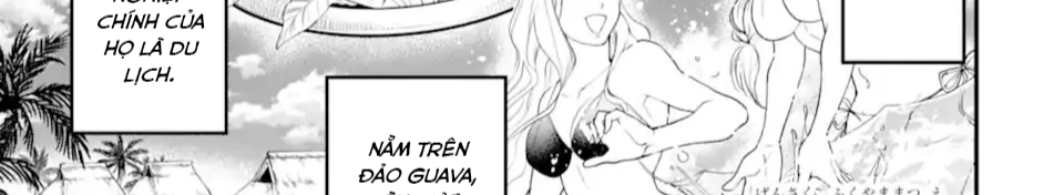 Pháp Sư Mạnh Nhất Dùng Sách Chiến Lược, Tự Mình Tiêu Diệt Ma Vương Chap 35 - Next Chap 36