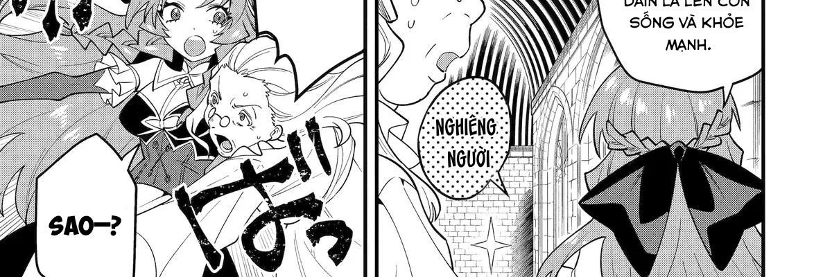 Pháp Sư Mạnh Nhất Dùng Sách Chiến Lược, Tự Mình Tiêu Diệt Ma Vương Chap 56 - Next Chap 57