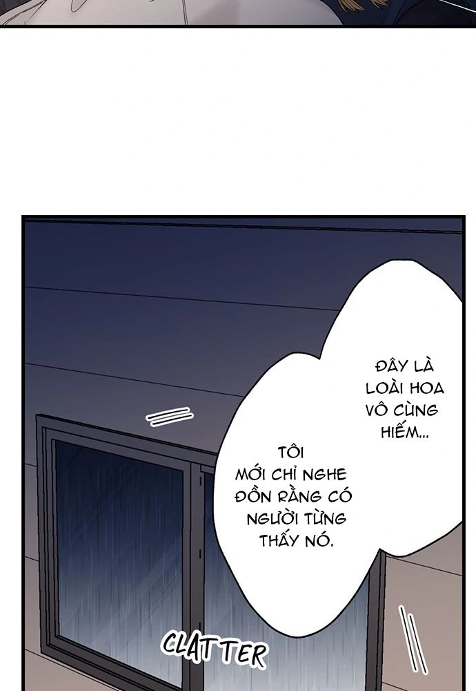  Làm Tình Trong Một Thế Giới Mà Điều Đó Là Điều Cấm Kỵ Chap 68 - Next Chap 69