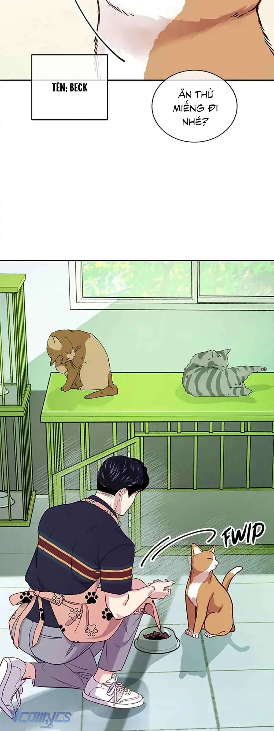 Lời Tỏ Tình Đáng Ngờ Chap 19 - Next Chap 20