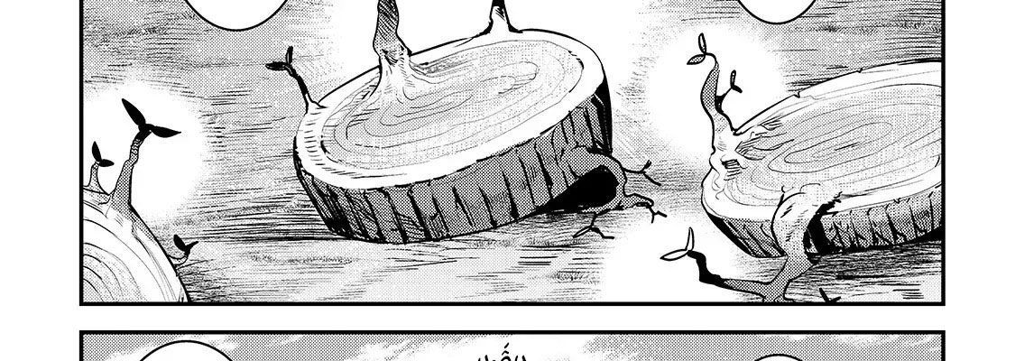 Cuộc Phiêu Lưu Của Kẻ Bất Tử Không Mong Muốn Chap 17 - Next Chap 18