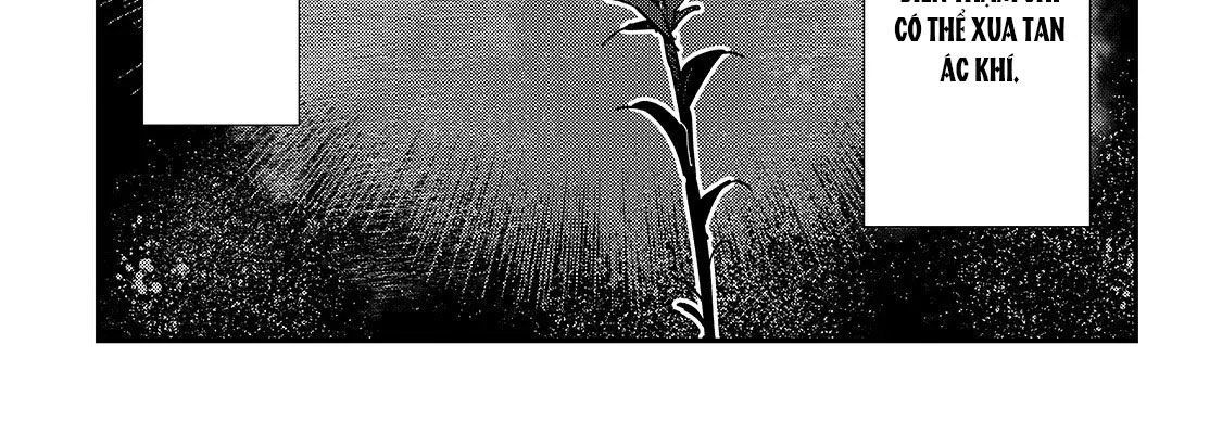 Cuộc Phiêu Lưu Của Kẻ Bất Tử Không Mong Muốn Chap 18 - Next Chap 19