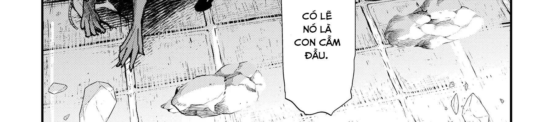 Cuộc Phiêu Lưu Của Kẻ Bất Tử Không Mong Muốn Chap 19 - Next Chap 20