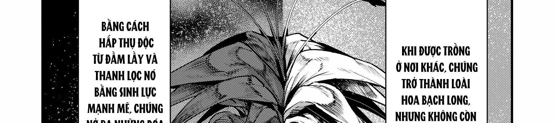 Cuộc Phiêu Lưu Của Kẻ Bất Tử Không Mong Muốn Chap 22 - Next Chap 23