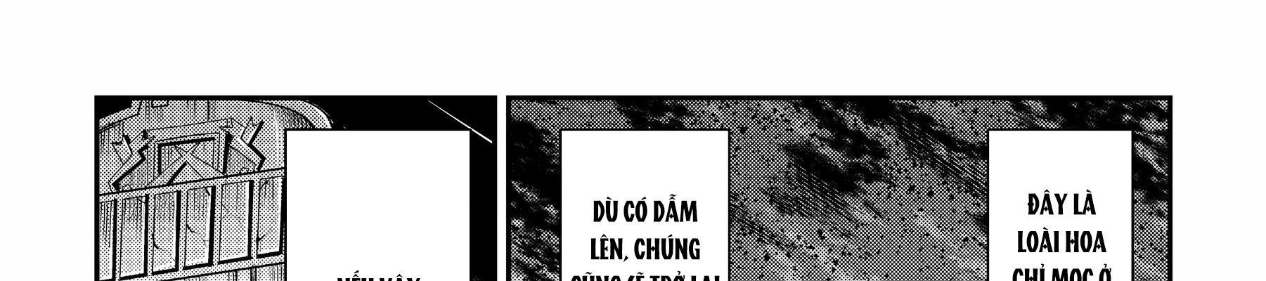 Cuộc Phiêu Lưu Của Kẻ Bất Tử Không Mong Muốn Chap 22 - Next Chap 23