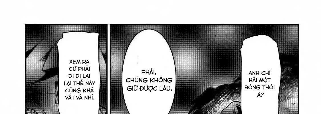 Cuộc Phiêu Lưu Của Kẻ Bất Tử Không Mong Muốn Chap 23 - Next Chap 24