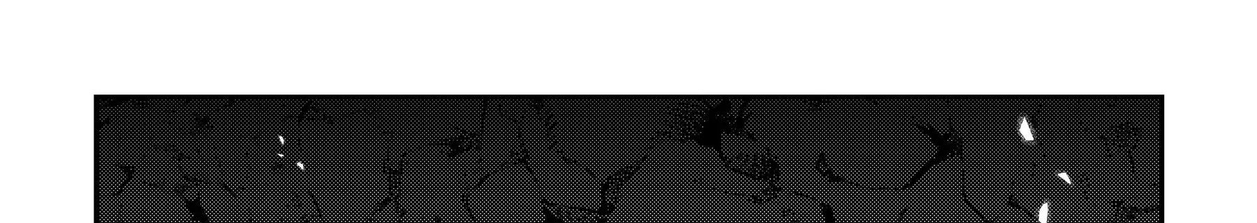 Cuộc Phiêu Lưu Của Kẻ Bất Tử Không Mong Muốn Chap 37 - Next Chap 38