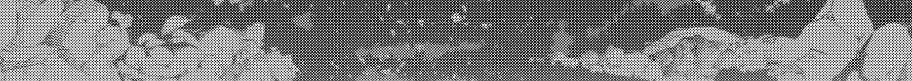 Cuộc Phiêu Lưu Của Kẻ Bất Tử Không Mong Muốn Chap 40 - Next Chap 41