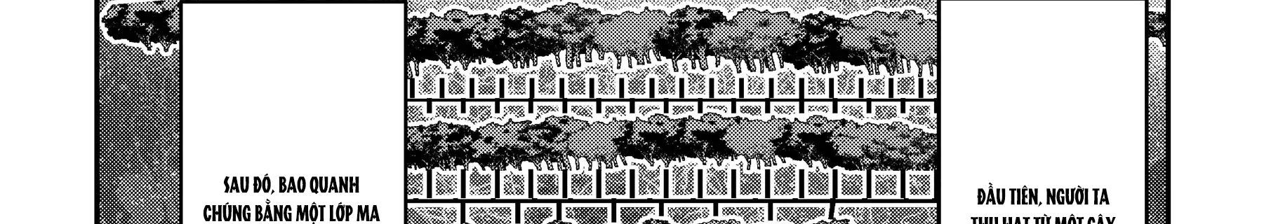 Cuộc Phiêu Lưu Của Kẻ Bất Tử Không Mong Muốn Chap 40 - Next Chap 41