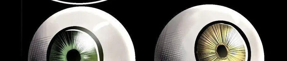 Câu Chuyện Sinh Tồn Của Kiếm Vương Ở Thế Giới Khác Chap 17 - Next Chap 18