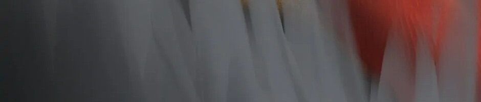 Câu Chuyện Sinh Tồn Của Kiếm Vương Ở Thế Giới Khác Chap 17 - Next Chap 18