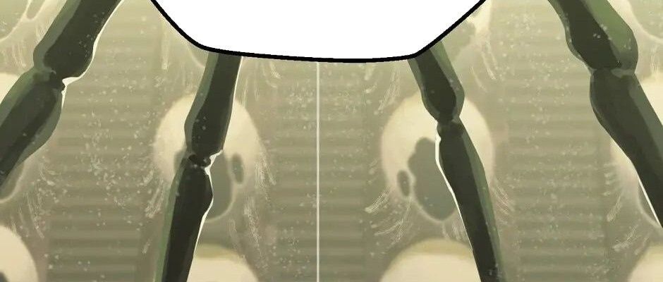 Câu Chuyện Sinh Tồn Của Kiếm Vương Ở Thế Giới Khác Chap 28 - Next Chap 29