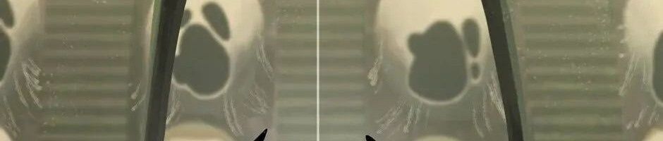 Câu Chuyện Sinh Tồn Của Kiếm Vương Ở Thế Giới Khác Chap 28 - Next Chap 29