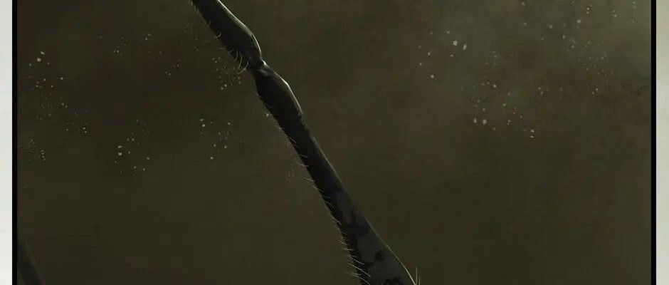 Câu Chuyện Sinh Tồn Của Kiếm Vương Ở Thế Giới Khác Chap 28 - Next Chap 29