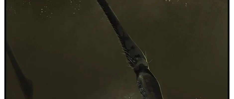 Câu Chuyện Sinh Tồn Của Kiếm Vương Ở Thế Giới Khác Chap 29 - Next Chap 30