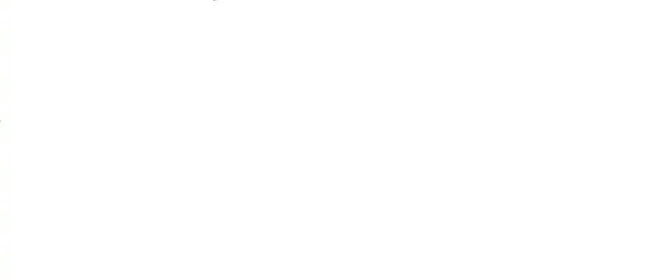 Câu Chuyện Sinh Tồn Của Kiếm Vương Ở Thế Giới Khác Chap 41 - Next Chap 42