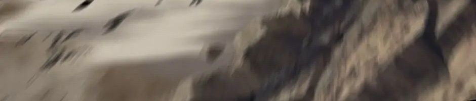 Câu Chuyện Sinh Tồn Của Kiếm Vương Ở Thế Giới Khác Chap 43 - Next Chap 44