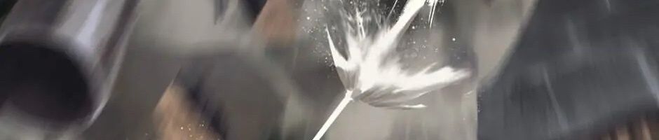 Câu Chuyện Sinh Tồn Của Kiếm Vương Ở Thế Giới Khác Chap 44 - Next Chap 45