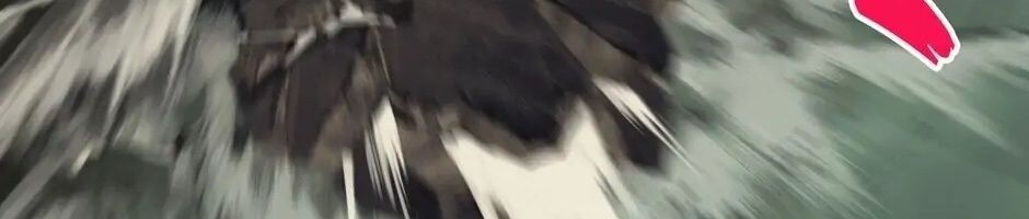 Câu Chuyện Sinh Tồn Của Kiếm Vương Ở Thế Giới Khác Chap 44 - Next Chap 45