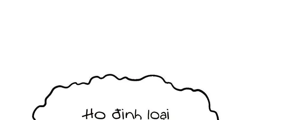 Câu Chuyện Sinh Tồn Của Kiếm Vương Ở Thế Giới Khác Chap 47 - Next Chap 48