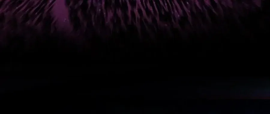 Câu Chuyện Sinh Tồn Của Kiếm Vương Ở Thế Giới Khác Chap 50 - Next Chap 51