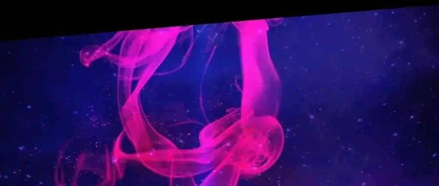 Câu Chuyện Sinh Tồn Của Kiếm Vương Ở Thế Giới Khác Chap 50 - Next Chap 51