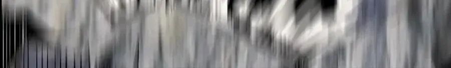 Câu Chuyện Sinh Tồn Của Kiếm Vương Ở Thế Giới Khác Chap 54 - Next Chap 55