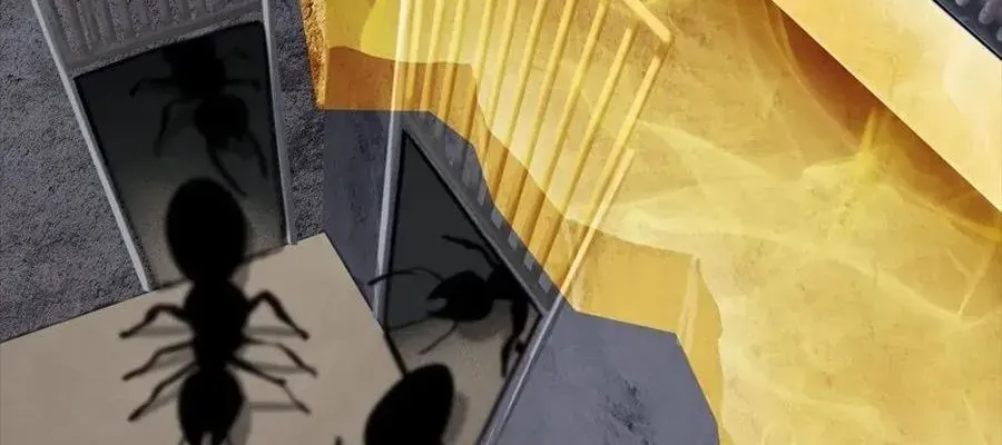 Câu Chuyện Sinh Tồn Của Kiếm Vương Ở Thế Giới Khác Chap 55 - Next Chap 56