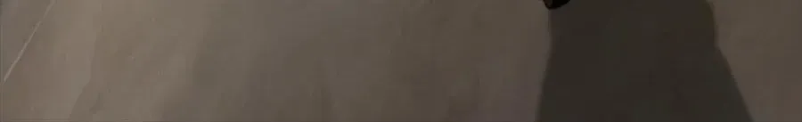 Câu Chuyện Sinh Tồn Của Kiếm Vương Ở Thế Giới Khác Chap 55 - Next Chap 56