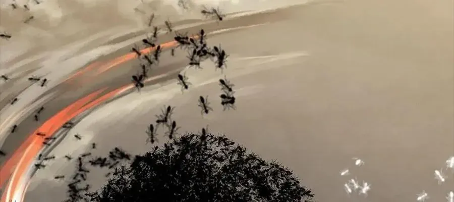 Câu Chuyện Sinh Tồn Của Kiếm Vương Ở Thế Giới Khác Chap 55 - Next Chap 56