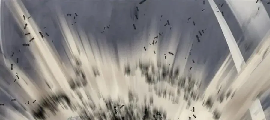 Câu Chuyện Sinh Tồn Của Kiếm Vương Ở Thế Giới Khác Chap 55 - Next Chap 56