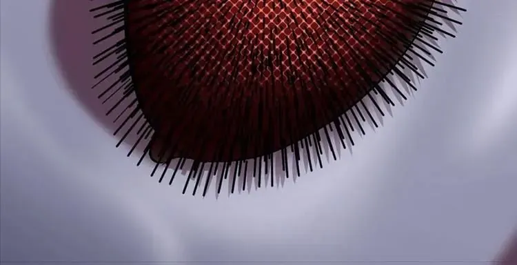 Câu Chuyện Sinh Tồn Của Kiếm Vương Ở Thế Giới Khác Chap 56 - Next Chap 57