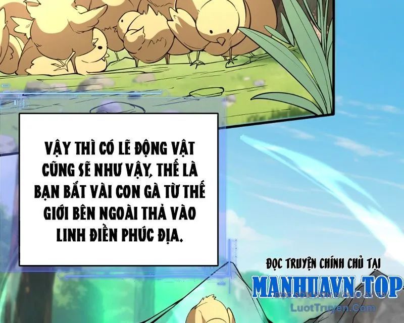Người Khác Luyện Cấp Ta Tu Tiên, Tới Đại Thừa Kỳ Thì Rời Núi Chap 11 - Next Chap 12